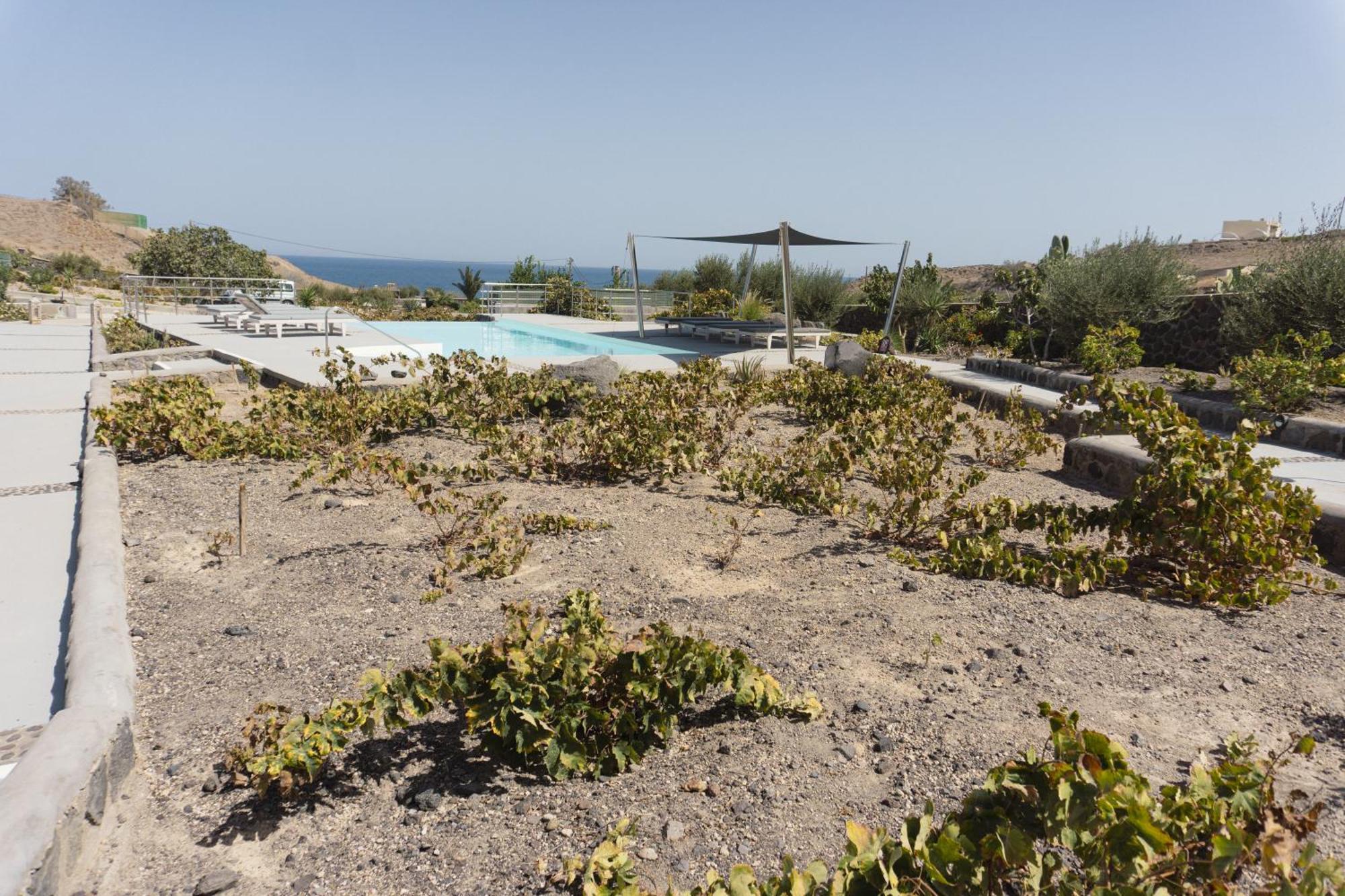 Villas Scirocco ثيرا المظهر الخارجي الصورة